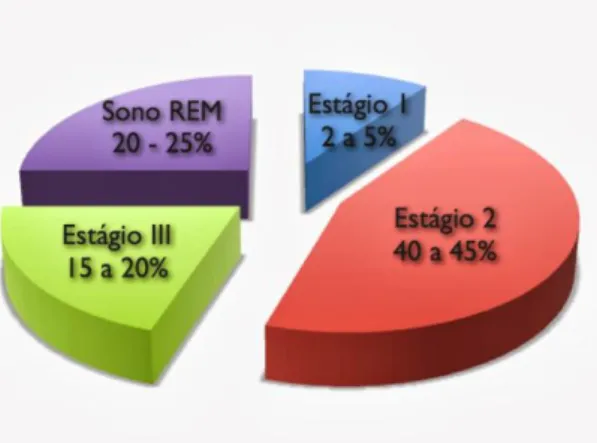 Figura 2 – Valores normais de cada estágio do sono 