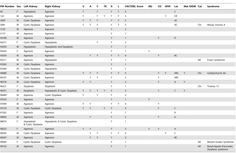 Table 2. Analysis of Reported Association in Cases with Extrarenal Malformations.