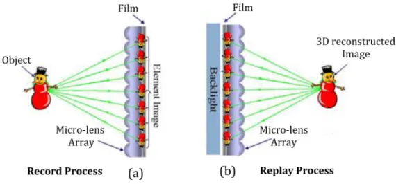 Figure 2.1: Principles of Holoscopic System: (a) scene capture process and (b) reconstruction of the recorded scene [6]