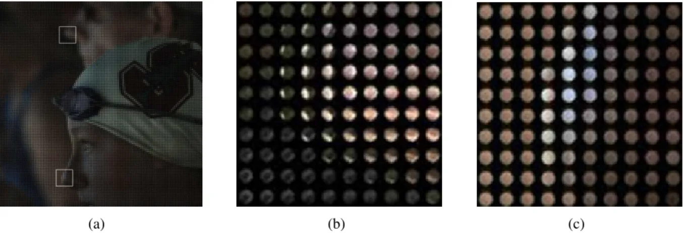Figure 3.2: Holoscopic Image in RAW format (a) with two enlarged pictures ((b) and (c)) where it is possible to see multiple microimages captured by the microlenses of the light field camera [7].