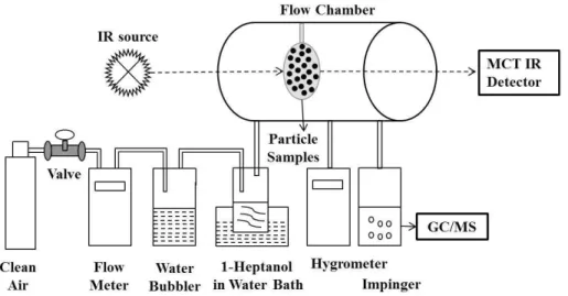 Fig. 1. The experimental set up for the FTIR studies using a flow chamber.