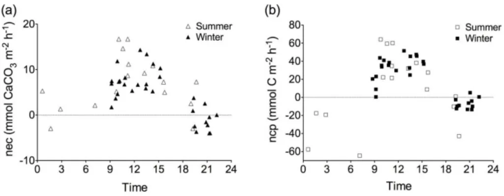 Fig. 6. (a) Net ecosystem calcification (nec) and (b) net community production (ncp) of the Davies Reef flat by time of day.