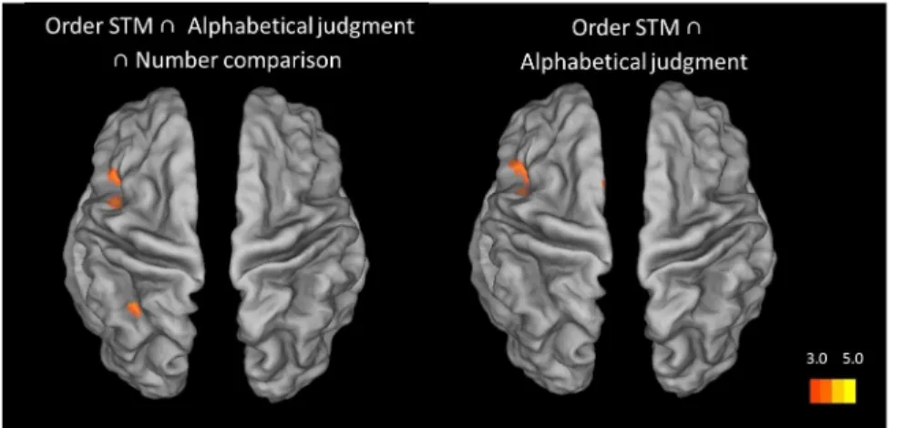 Figure 6. Brain to the conjunction between the distance effect of ordinal conditions and number comparison