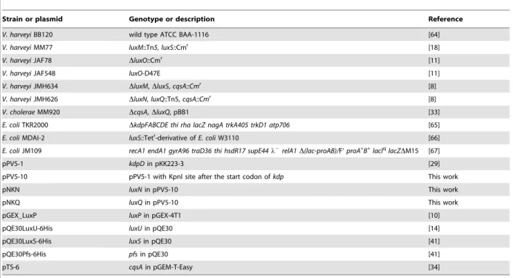 Table 1. Strains and plasmids used in this study.