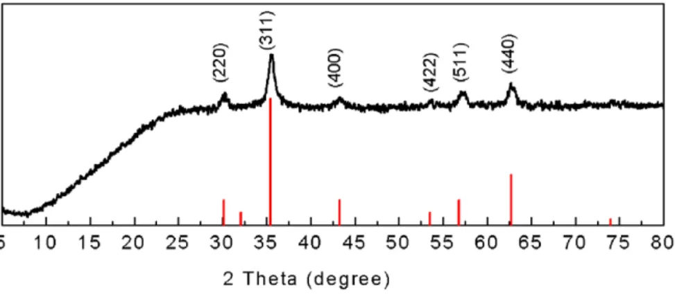 Figure 1. XRD pattern of Fe 3 O 4 nanoparticles. Red lines indicates the stick pattern of JCPDS card # 3-0863 (magnetite).