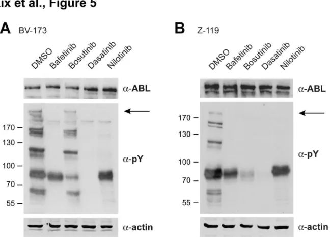 Table 3. Effects of various targeted drugs on Ph+ ALL cell lines*.