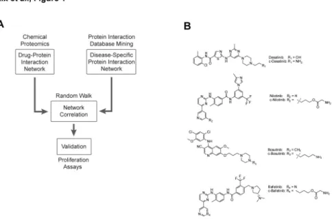 Figure 1.  Schematic outline of the integrated chemical proteomics and computational biology strategy