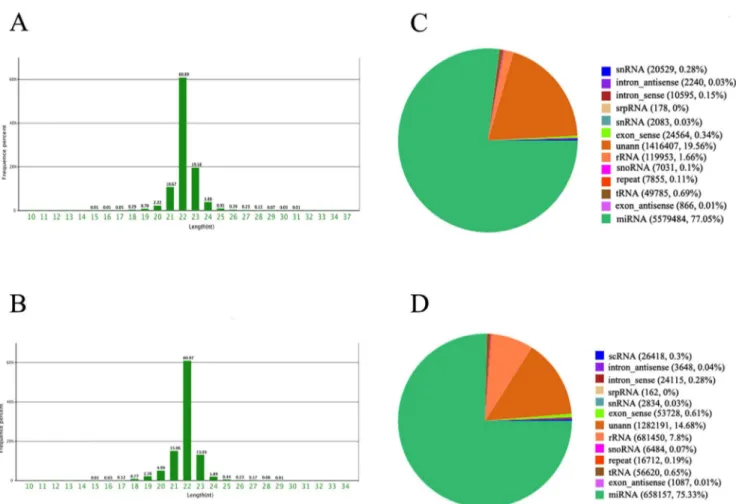 Figure 2. Validation of six differentially expressed miRNAs using qRT-PCR at 24 hours after SE