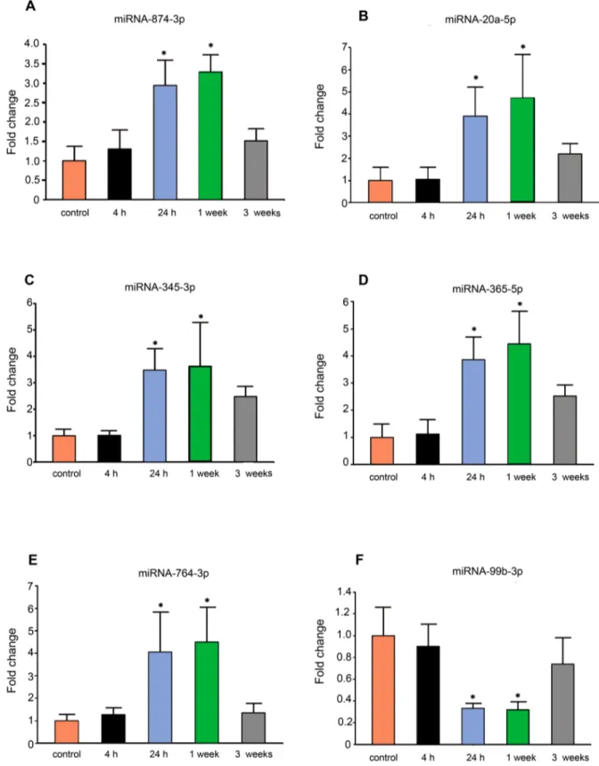 Figure 3. The dynamic alterations of six differentially expressed miRNAs at different time-point after SE