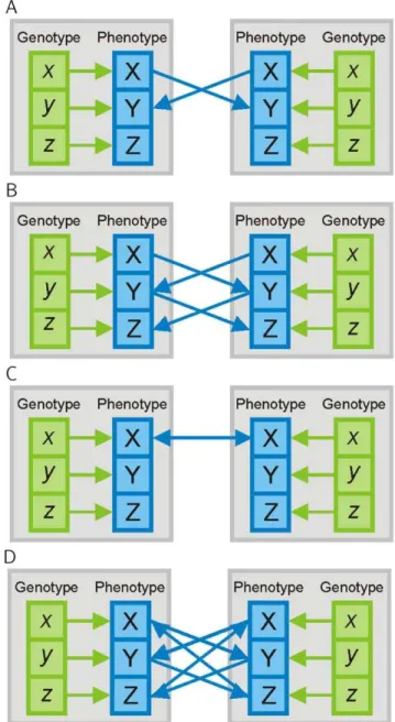 Figure 1. Different classes of interactions. (A) Example of interactions without feedback