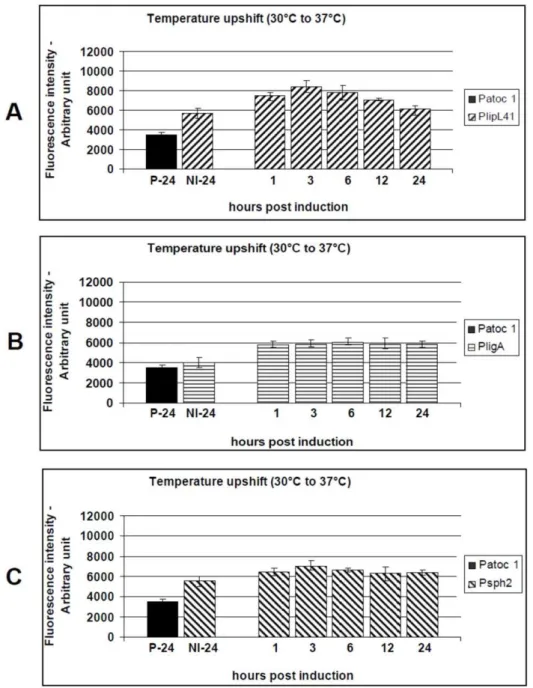 Figure 4. Kinetics of GFP production by the L. biflexa reporter strains (P41G, PAG and P2G) after a temperature upshift to 37 6 C.