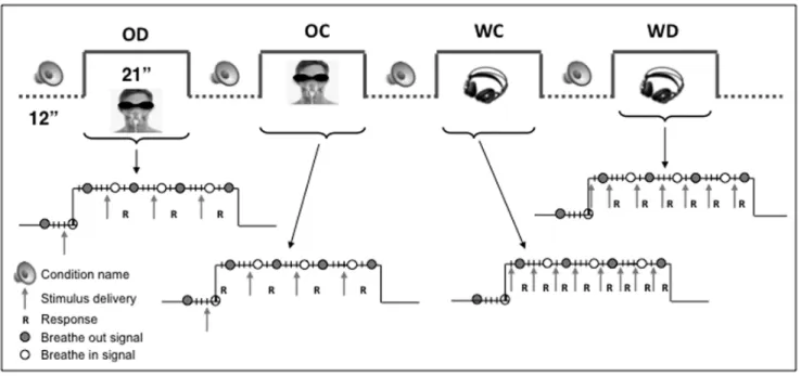 Figure 1. Experimental design. The experimental paradigm consisted in a block design with four experimental conditions (21 seconds) alternating with resting state periods (12 seconds): odor discrimination (OD), odor categorization (OC), word discrimination