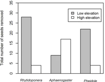 Fig 2. The total number of seeds removed during the observation experiment at low (grey) and high elevation (white) sites by the top three seed-removing ant genera: Rhytidoponera, Aphaenogaster and Pheidole.