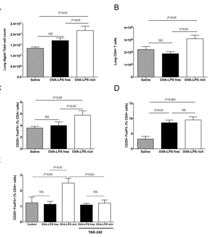 Figure 3. LPS contaminated OVA increase Th2 and Th1 cytokine levels in the BALF following nasal challenge in wild type mice but not in TLR4 deficient mice