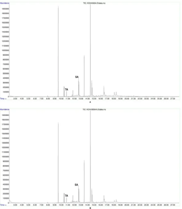 Figure 6. Verification of Jar 15 sample. A. Total-ion chromatogram from Jar 15 (ARCHEM 4305), B