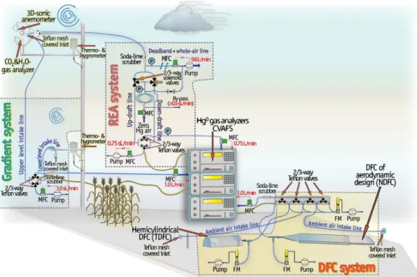 Figure 1. Schematic illustration of the collocated MM and DFCs instrumentation set-ups