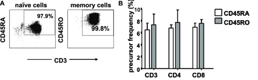 Figure 5. Relative contributions of naı¨ve and memory T cells to the allo-response in CFSE-MLR upon stimulation with CD40-B cells.