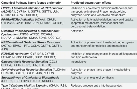 Table 3. Topmost 10 canonical pathway enrichments at 4 wks post-stressor.