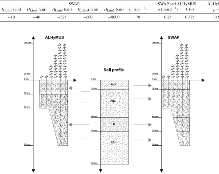 Table 3. Crop parameters values used by SWAP and ALHyMUS models (variables are explained in the text).