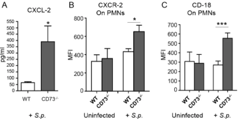 Fig 6. CD73 modulates the induction of leukocyte recruitment signals upon I.T. challenge by S.
