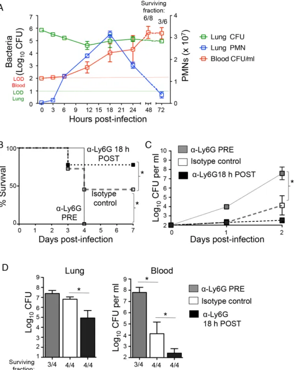 Fig 1. PMNs promote pulmonary and systemic disease during later stages of S. pneumoniae lung infection