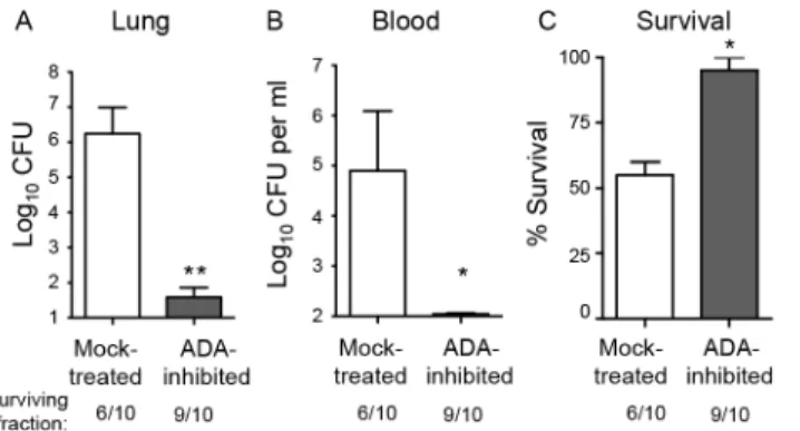 Fig 2. Inhibition of adenosine breakdown promotes resistance to S. pneumoniae lung challenge.