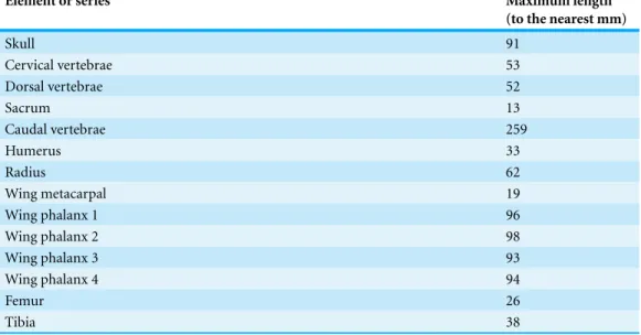 Table 1 Measurements of the major elements of TMP 2008.41.001.