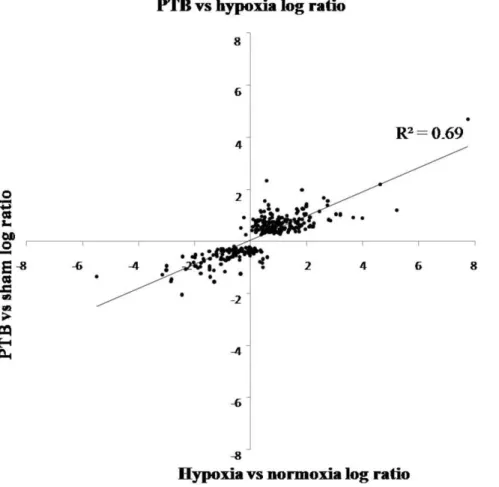 Table 4. Differentially regulated genes in the right ventricle of pulmonary trunk banded (PTB) rats versus chronic hypoxic rats.
