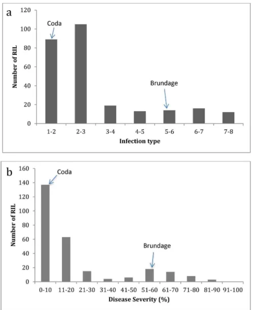 Figure 1. Distribution of infection in the Brundage by Coda RIL population. Distribution of: (a) infection type (IT) and (b) disease severity (DS) grand mean (averaged over all locations) values