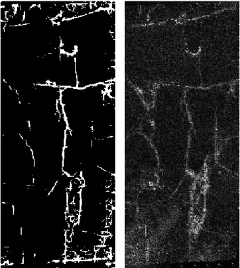 Figure 10. Results of a sample of alligator cracks: (a) detected  results containing the alligator cracks, (b) the corresponding  DTM high-pass convolution result