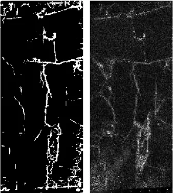 Figure 10. Results of a sample of alligator cracks: (a) detected  results containing the alligator cracks, (b) the corresponding  DTM high-pass convolution result