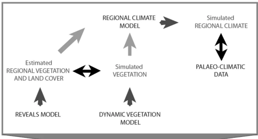 Fig. 9. model-data comparison scheme for the LANDCLIM project. The simple arrows rep- rep-resent model inputs or outputs
