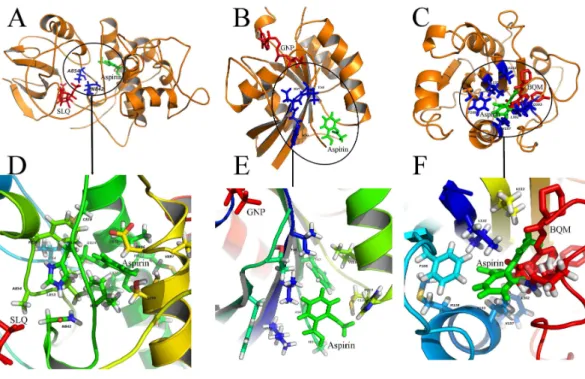 Figure 3 Diverse binding modes of aspirin to the putative targets. The docking experiments reveal di- di-verse binding modes of aspirin to these targets (A) Aspirin binding to protein CDK13 (3LQ5.pdb)