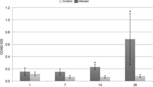 Fig 5. Atlantic cod infected with Brucella pinnipedialis mounts a specific antibody response
