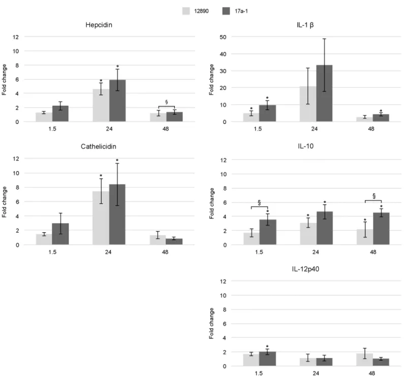 Fig 3. Expression of immune genes after in vitro infection with Brucella pinnipedialis