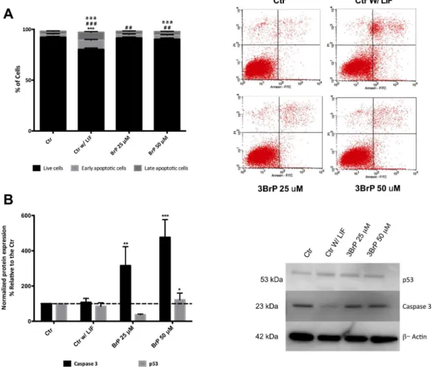 Fig 3. Assessment of apoptosis in mESC as affect by 3BrP. ESCs were maintained in control conditions (with LIF), in the absence of LIF (differentiation control) and in the presence of two different 3BrP concentrations (25 and 50 μM) plus LIF