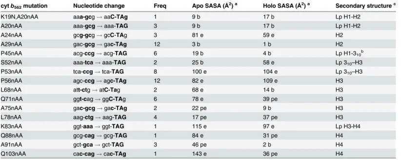 Table 1. Sequence and characteristics of observed cyt b 562 TAG replacement variants.