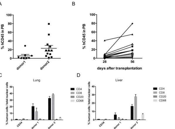 Fig 2. Engraftment of human hematopoietic cells in NSG mice. Peripheral blood chimerism analysis (% of hCD45 + cells) was performed by flow cytometry 56 days post transplantation