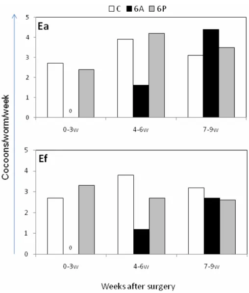 Fig. 3 Effects of anterior or posterior segments amputation on reproduction of composting worms