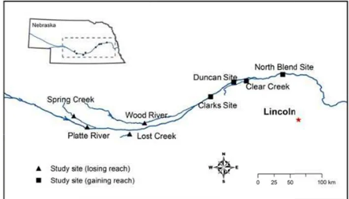 Fig. 1. Location map of eight study sites in south-central and eastern Nebraska. Four study sites were in gaining stream reaches and the other four study sites were in losing stream reaches.