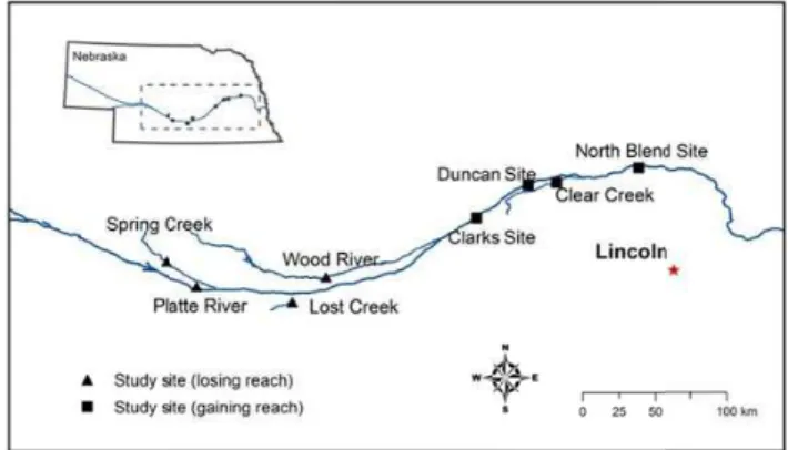 Fig. 1. Location map of eight study sites in south-central and eastern Nebraska. Four study sites were in gaining stream reaches and the other four study sites were in losing stream reaches.