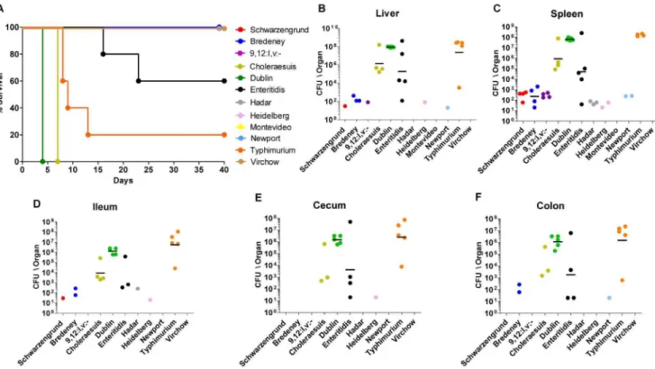 Figure 4. Pathogenicity of iNTS strains in mice. Twelve groups of 4–5 female C3H\HeN mice were challenged i.p