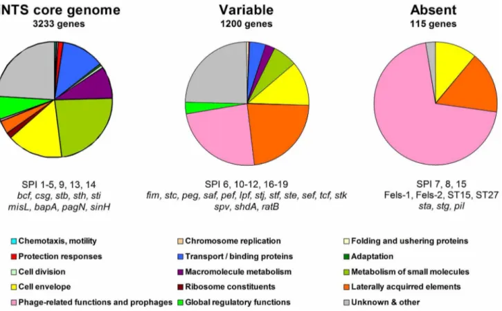 Figure 1. Core, variable and absent genes in iNTS strains. Microarray-based comparative genomic hybridization was used to determine the presence and absence of the Salmonella ORFs represented on the S