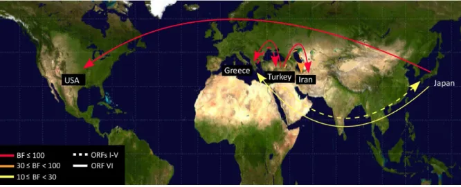 Figure 4. Patterns of Cauliflower mosaic virus migration jointly estimated across the two ORF regions