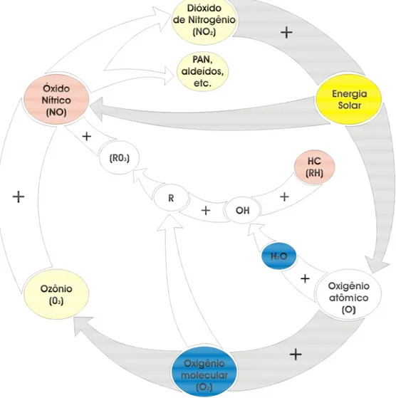FIGURA 09 – Ciclo de reações para a formação de ozônio troposférico  Fonte: EPA, 1986