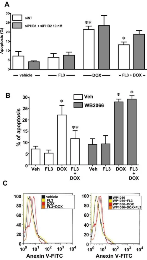 Fig 5. FL3 protects H9c2 cardiomyocytes by acting on PHBs and their signaling target STAT3