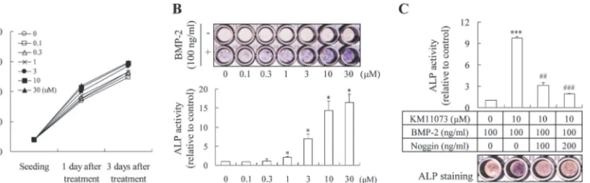 Fig 2. KM11073 enhanced BMP-2-induced osteoblast differentiation in C2C12 cells. Cell viability was assayed 1 and 3 days after treatment with KM11073 (A)