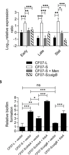 Figure 8A shows that SCV CF07-S has the ability to accumulate inside CF-like epithelial cells as previously reported [34].