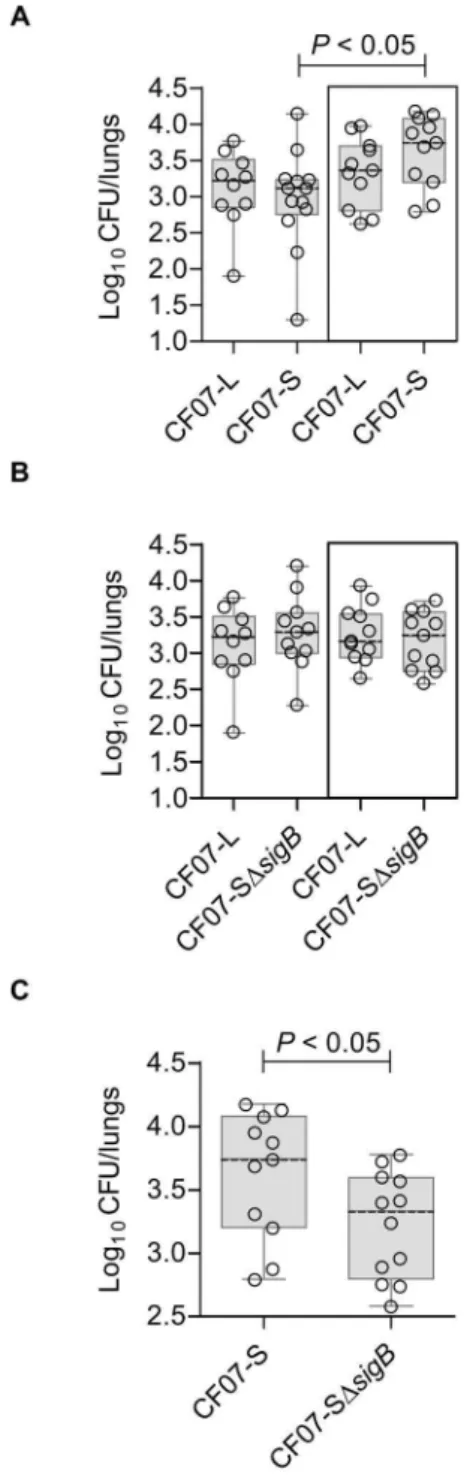 Figure 9. SigB provides better fitness to SCV CF07-S in a mouse pulmonary model of infection
