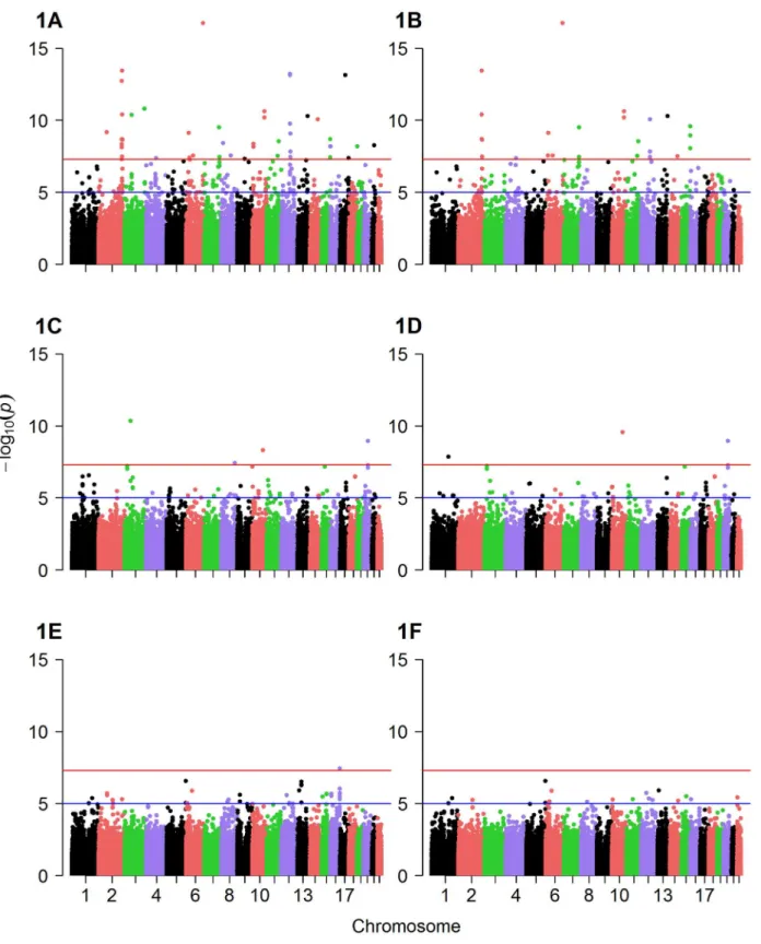 Fig 1. Manhattan plots of GWAS results. Displayed are Manhattan plots of the association results for GWAS (discovery cohort, whites only) with (A) factor 1 additive model, (B) factor 1 dominant model, (C) factor 2 additive model, (D) factor 2 dominant mode
